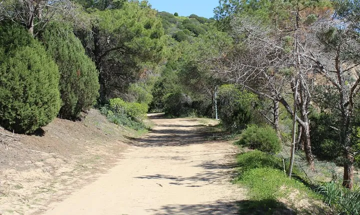 Cagliari: Hiking at the Ancient Roman Road from Chia