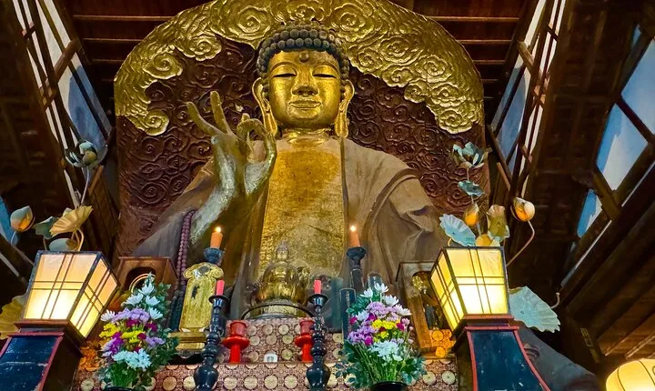 Gifu Half Day Private Tour Castle, Great Buddha and Old Town