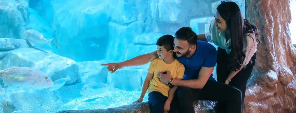 Barcelona city tour hop-on hop-off bus tickets with Aquarium