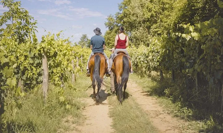 Horseback Riding Tour with Tuscan Picnic in Val d'Orcia and Valdichiana