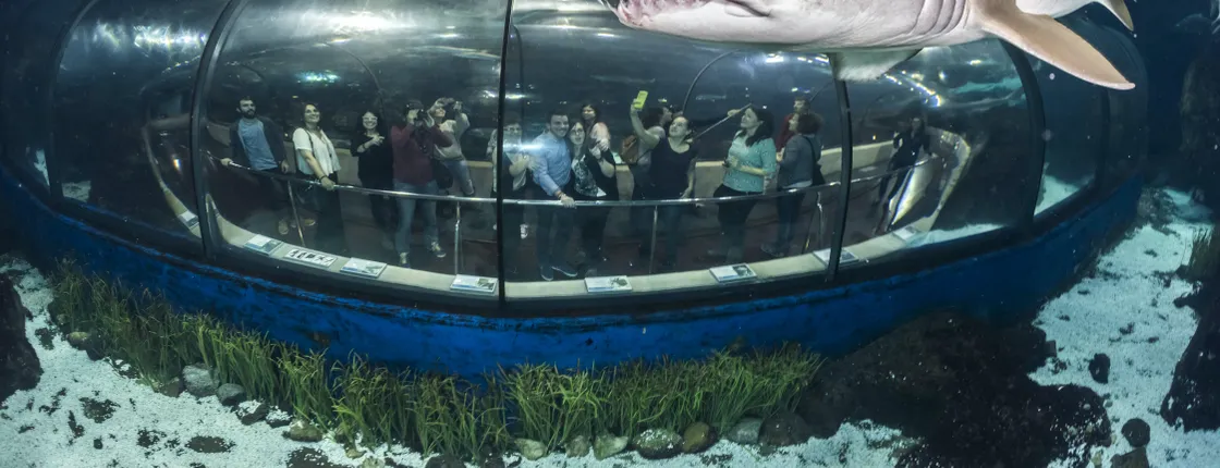 Barcelona Aquarium Ticket Only