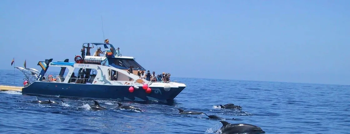 La Palma Coast Cruise with Transfer