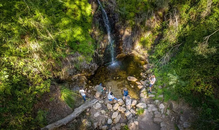 Waterfall Gully to Mt Lofty Guided Hike