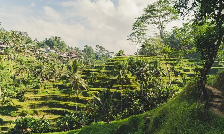 Best of Bali Traditional Village Sightseeng Tour include Lunch