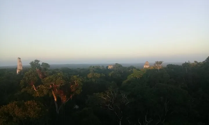 Tikal Day Tour with Pick-up from Flores