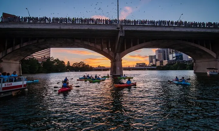 Congress Bridge Kayaking Bat Tour