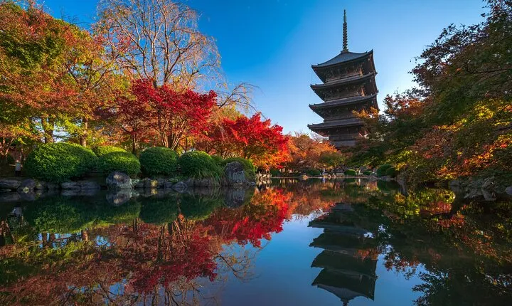 Taxi Lecture Tour, Toji Temple, 1 Thousand Kannon & Sushi