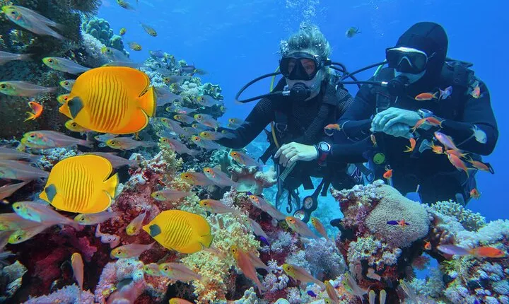 Diving and Visiting Giftun island with Snorkeling Boat Trip