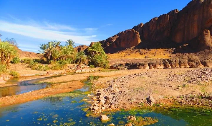 Private Full-Day Tour of Ouarzazate and Oasis Fint