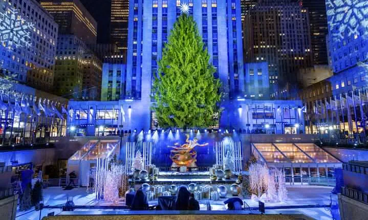 Christmas Light Private Carriage Ride New York City