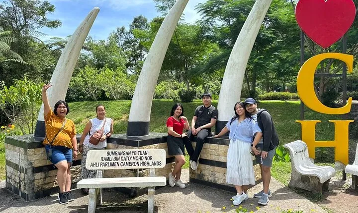 Cameron Highlands Nature & Batu caves Culture Tour