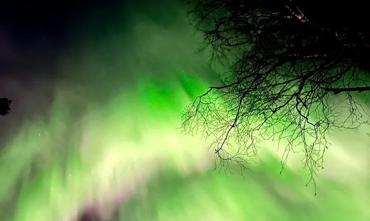 Amazing Aurora BBQ in the Best Spot in Rovaniemi!