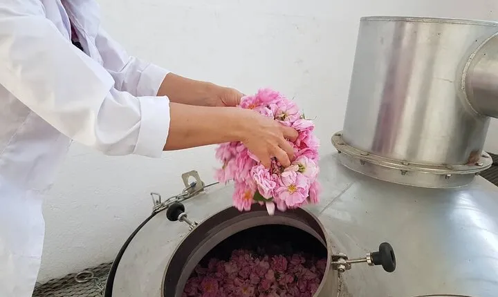 Private Rose Picking in Vrav along the Danube