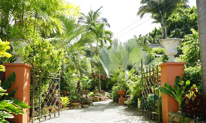Explore the Enchanted Gardens of Barbados