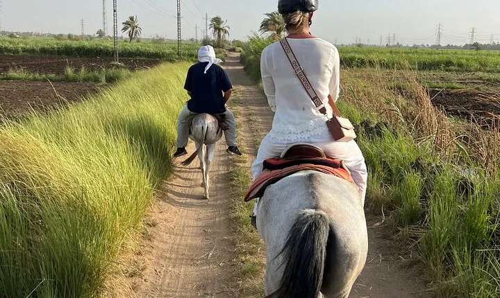 Private Horse ride Adventure in Luxor with professional guide