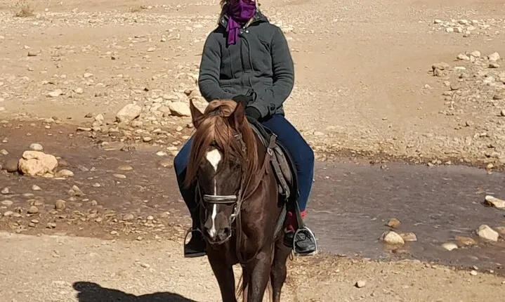 1 Hour Horse Riding Adventure in Ait Ben Haddou
