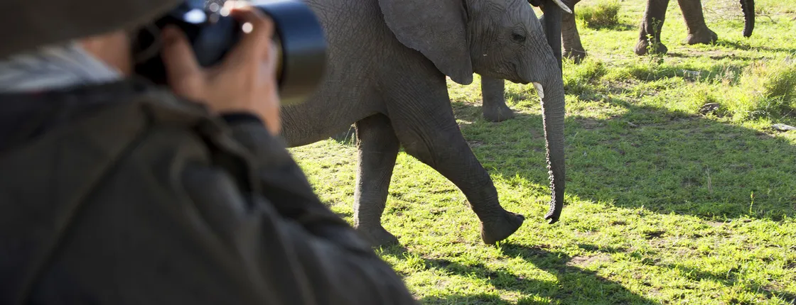 4 Day Tanzania Classic Safari - Tarangire, Serengeti & Ngorongoro crater