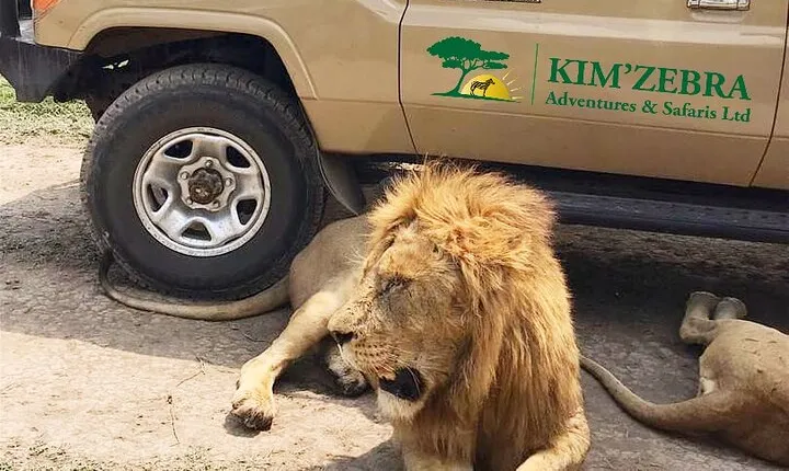 4 Days Tanzania Authentic Camping | Lodge Safari