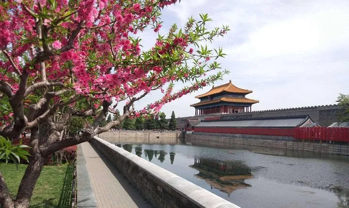 Small Group Tour: Forbidden City & Mutianyu Wall & Authentic Chinese Lunch