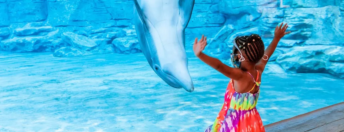 Clearwater Beach with lunch, transportation and aquarium