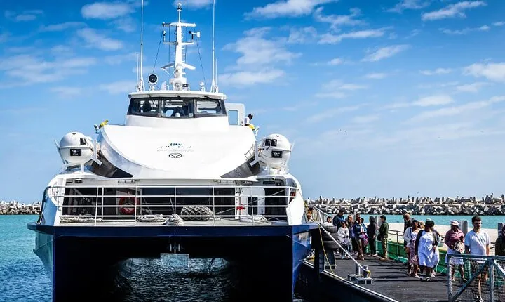 Robben Island Tour with Museum and Ferry Tickets
