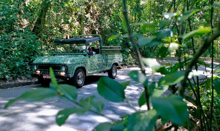 Jeep Tour - Tijuca Tropical Forest