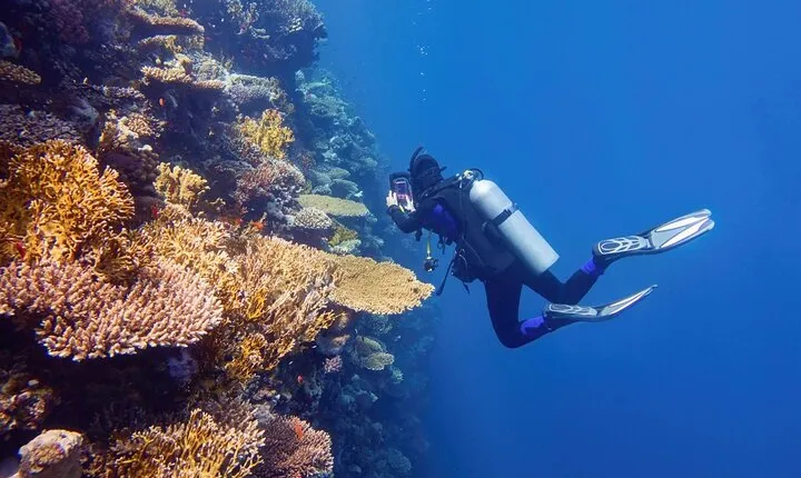 Explore Ras Mohamed & White Island Snorkel & Dive-Sharm El Sheikh