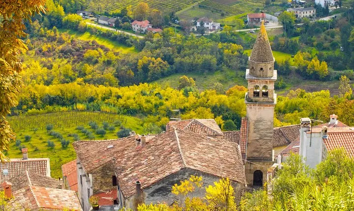 Half day trip to Motovun with Local Brandies Tasting