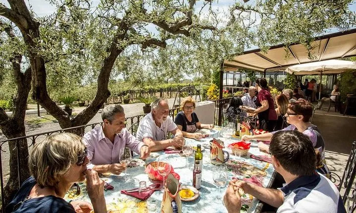 Wine & Food Tour at the Vesuvius Winery