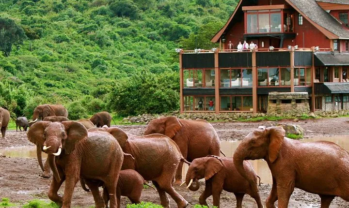 Private 5 Day Aberdare Lake Nakuru and Masai Mara Safari from Nairobi