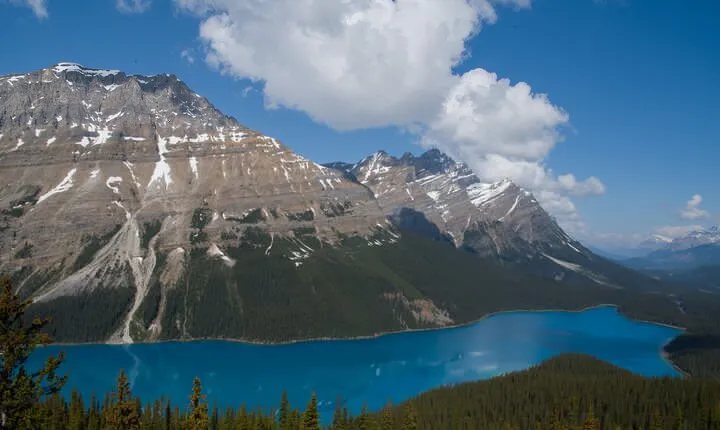 Full Day Tour-Moraine Lake, Lake Louise, Peyto Lake,...