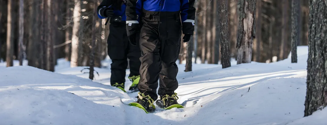 Snowshoe trip in the wilderness