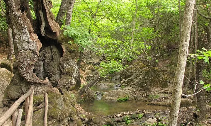 Butterflies Valley & Chalki from Rhodes