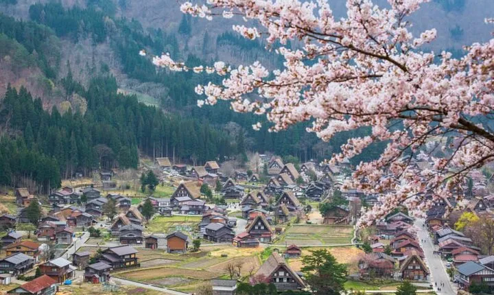 1 Day Private Charter Tour to Takayama & Shirakawago
