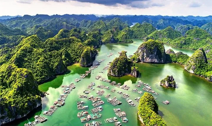 Trekking In Cat Ba National Park 3 Days
