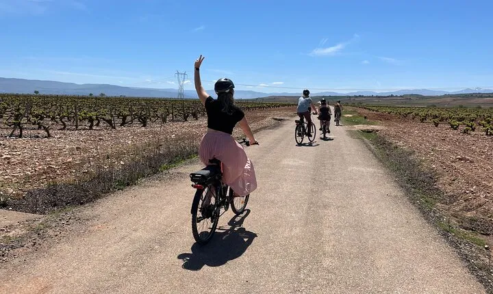 Rioja on Wheels - Discovering the Rioja Region with eBikes (from Bilbao & Rioja)