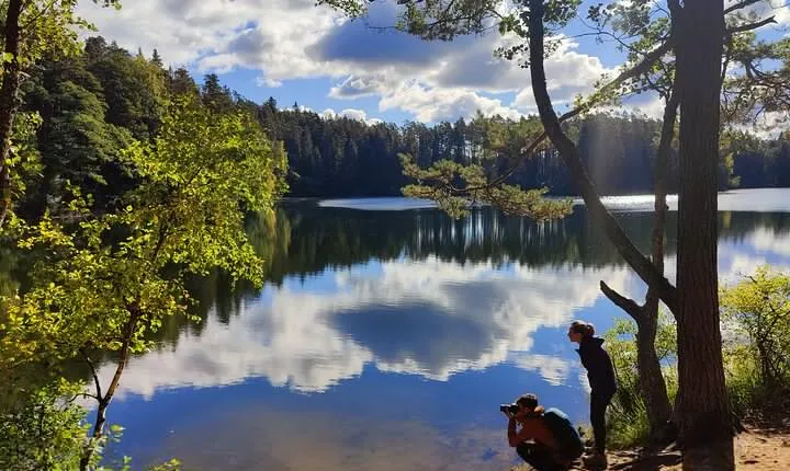 Half Day Hiking Tour in Beautiful Estonian Nature