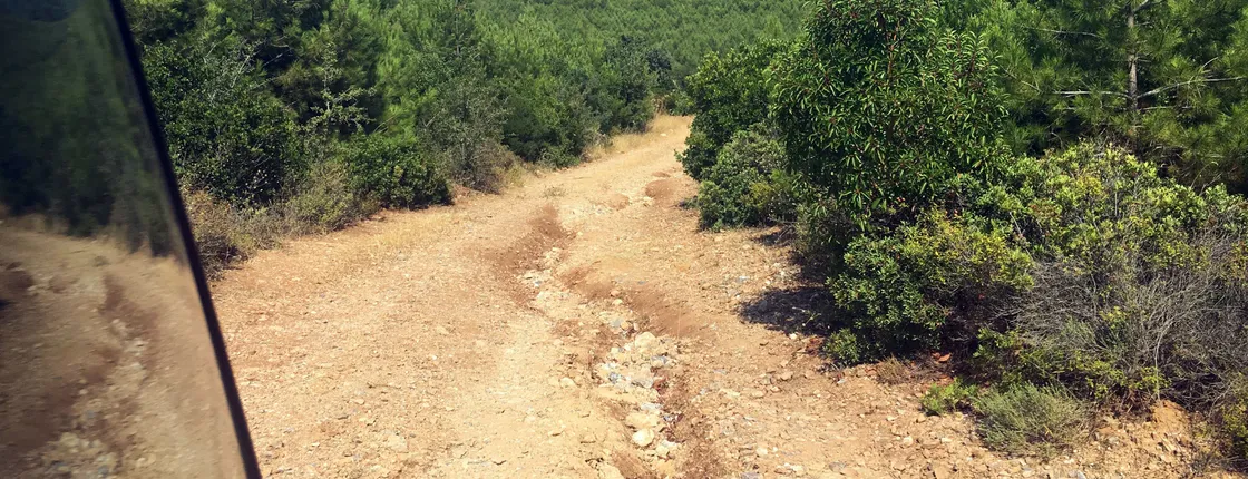 Kusadasi boat and 4x4 safari tour