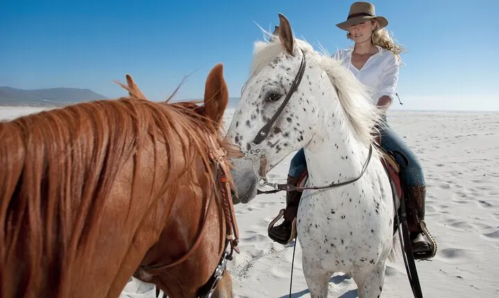 Horseback Riding Beach & Desert Adventure