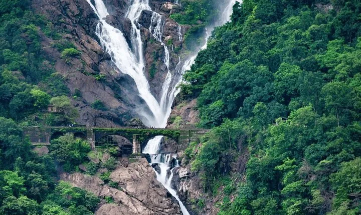 Dudhsagar Waterfalls, Jeep Safari & Spice Plantation private tour