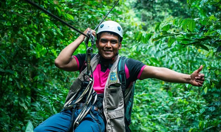 Canopy in the Jungle