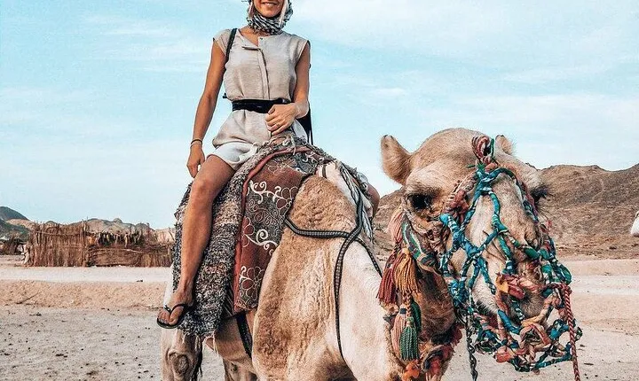 Sunset Jeep Safari Dinner, Camel Ride, Show & Transfers- Hurghada