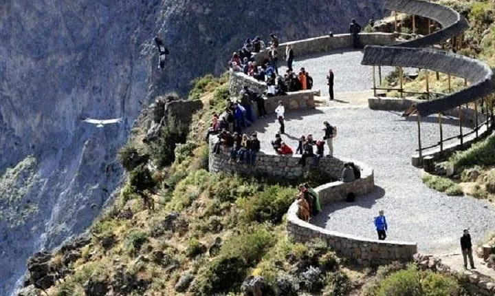 Fullday Colca Canyon with lunch from Arequipa
