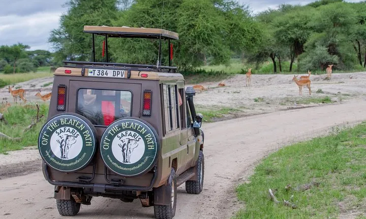 4 Days Tarangire , Ngorongoro ,Manyara and lake Eyasi village