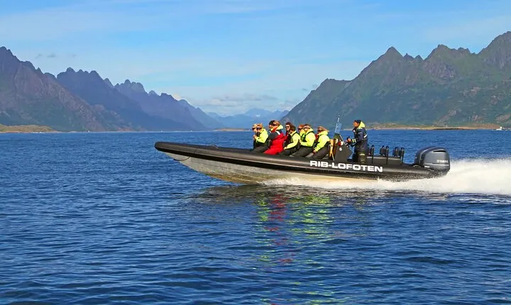 Lofoten RIB Sea Eagle Safari Trollfjord Cruise