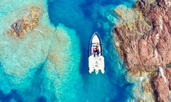 Depart Saint Raphaël: Meet the Dolphins
