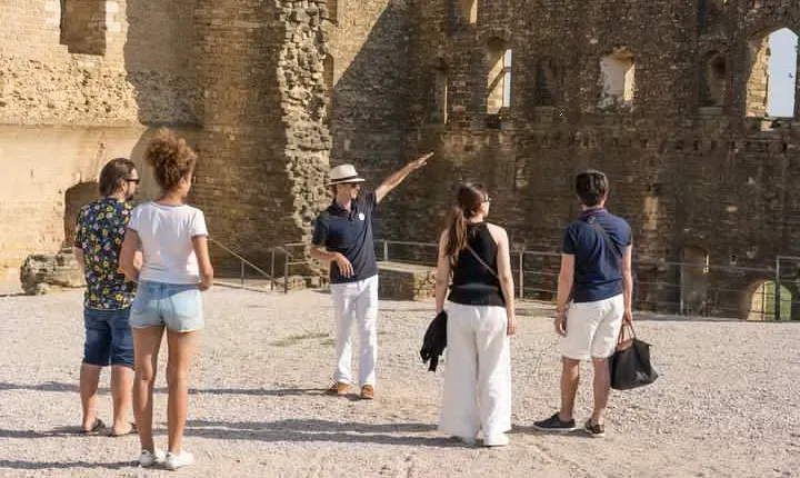 Chateauneuf-du-Pape Prestige Wine Tour from Avignon