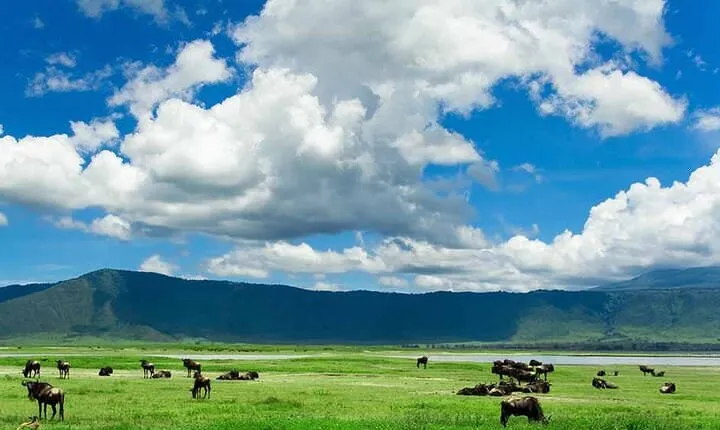 2-Day Safari to Tarangire National Park and Ngorongoro Crater