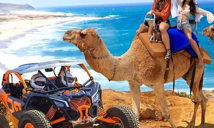 Camel Ride, UTV, and The Arch Tour with Lunch & Tequila Tasting!