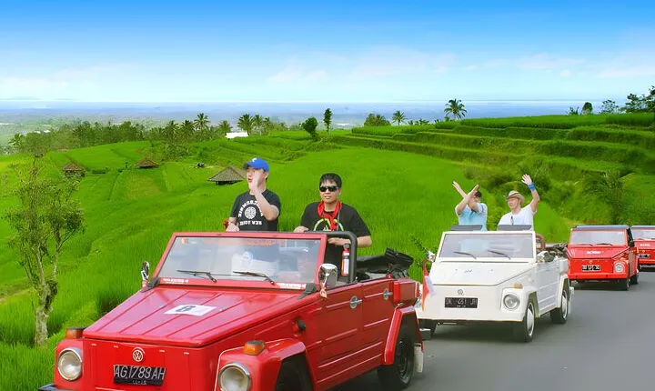 Jatiluwih VW Safari Bali Tour - Volkswagen Classic Car Trip